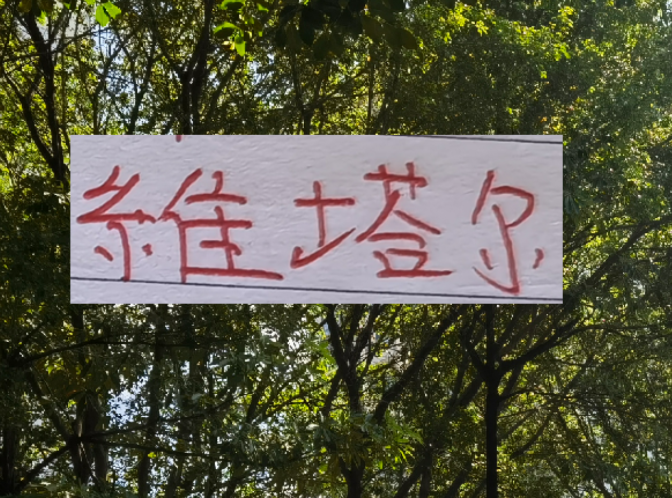 开云体育app下载-上个赛季中超前4的十号 就海港10号维塔尔助攻最多 出场也最多